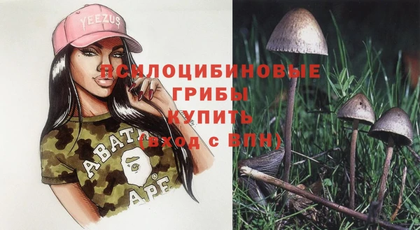 прущие крисы Богородск
