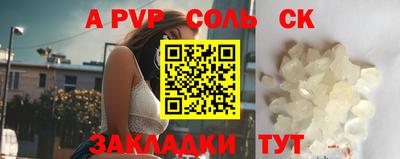 индика Сланцы