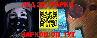 индика Сланцы