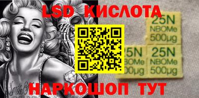 индика Славгород