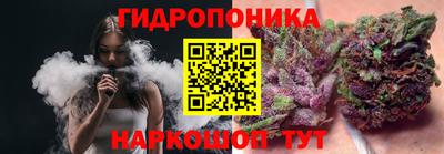 индика Сланцы