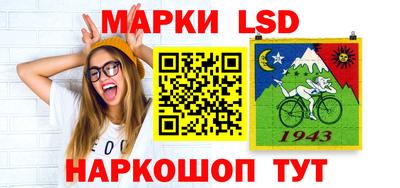 индика Сланцы