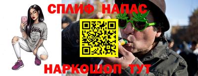 индика Сланцы