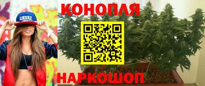 индика Сланцы