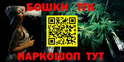 индика Сланцы