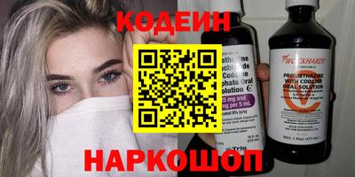 индика Сланцы