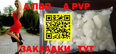 индика Славгород