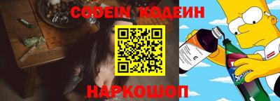 индика Сланцы