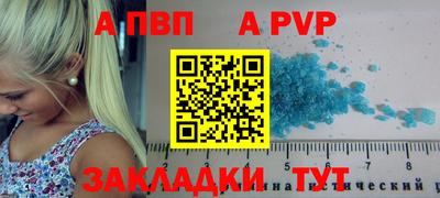 индика Славгород