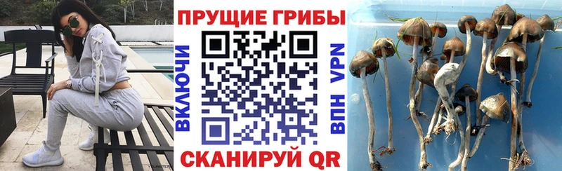 Псилоцибиновые грибы прущие грибы  Новомосковск 