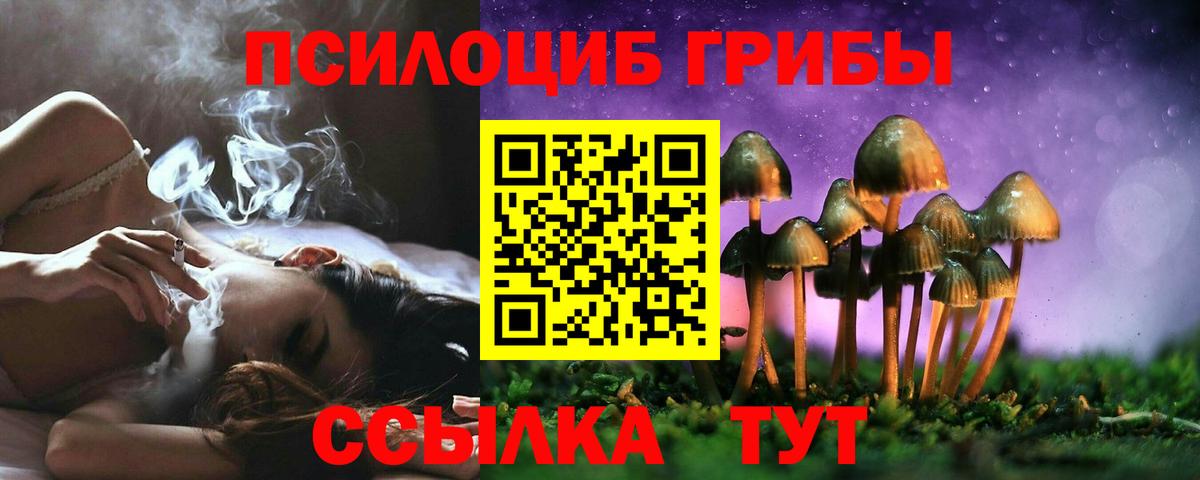 Галлюциногенные грибы Psilocybe  Вход с VPN  Новомосковск 